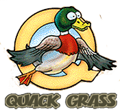 The Original Quack Grass